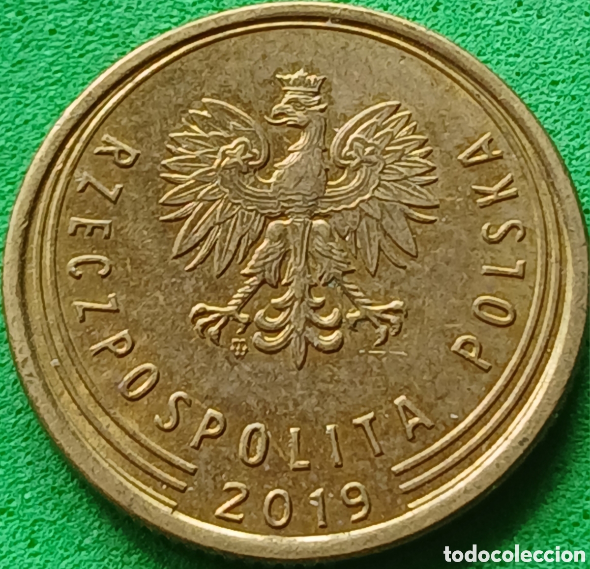 Monedas antiguas de Europa: Polonia 5 groszy 2019 UC#6