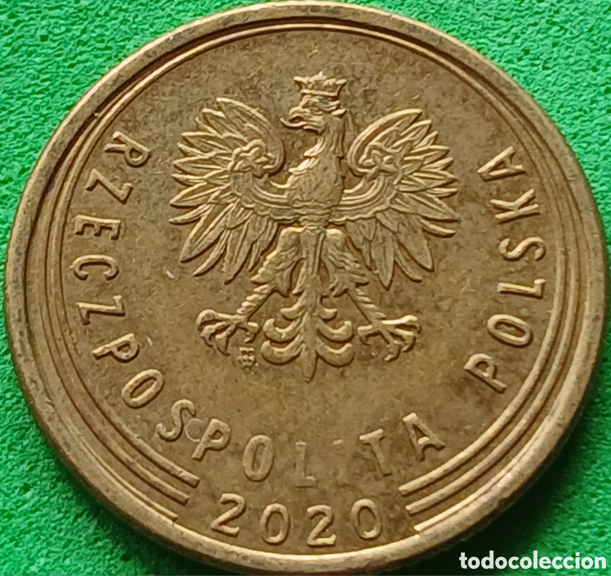 Monedas antiguas de Europa: Polonia 5 groszy 2020 UC#6