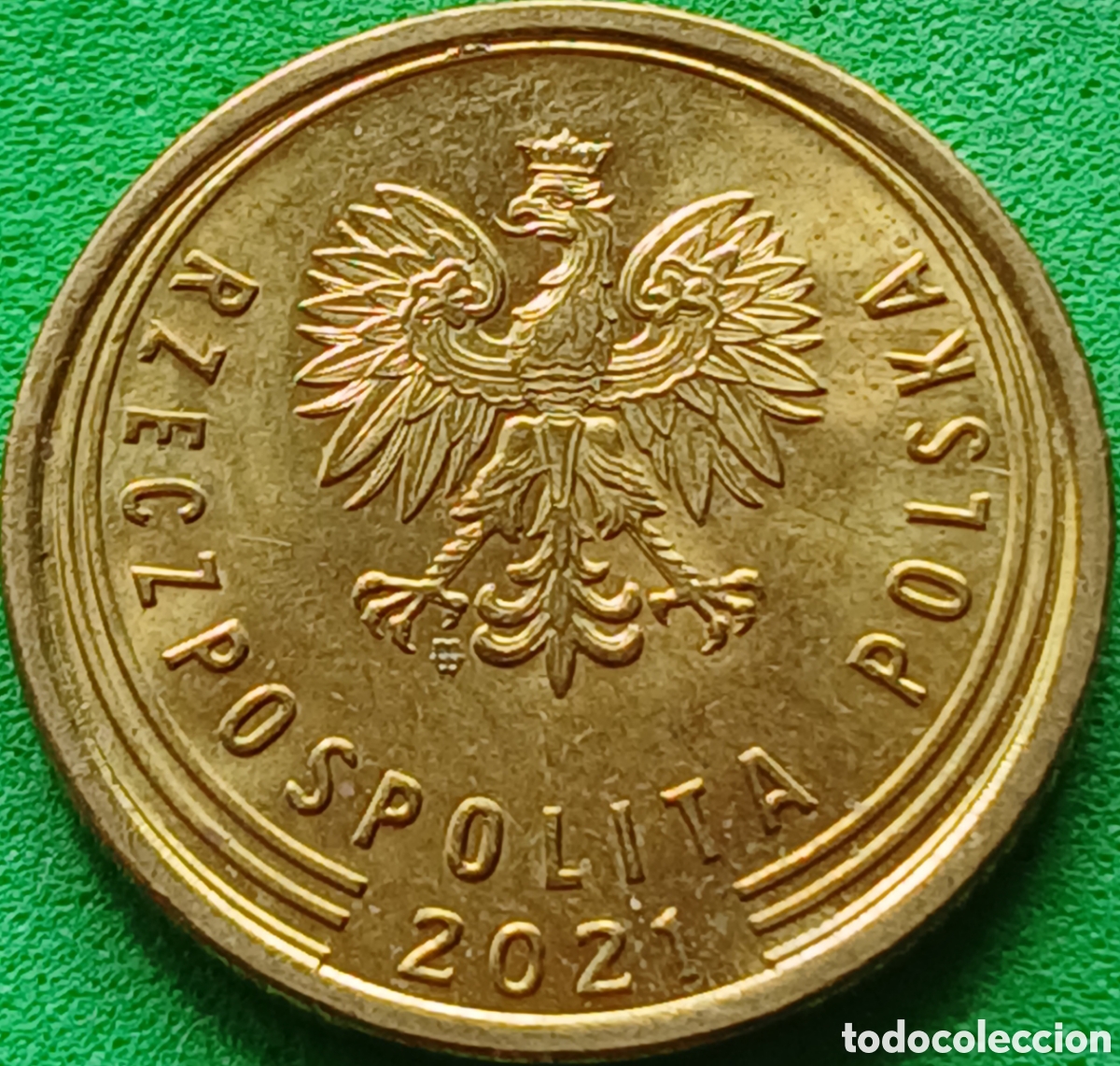 Monedas antiguas de Europa: Polonia 5 groszy 2021 UC#6