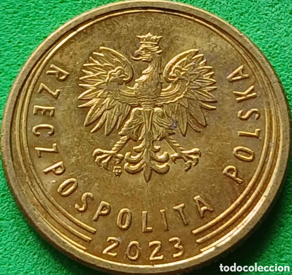 Monedas antiguas de Europa: Polonia 5 groszy 2023 UC#6