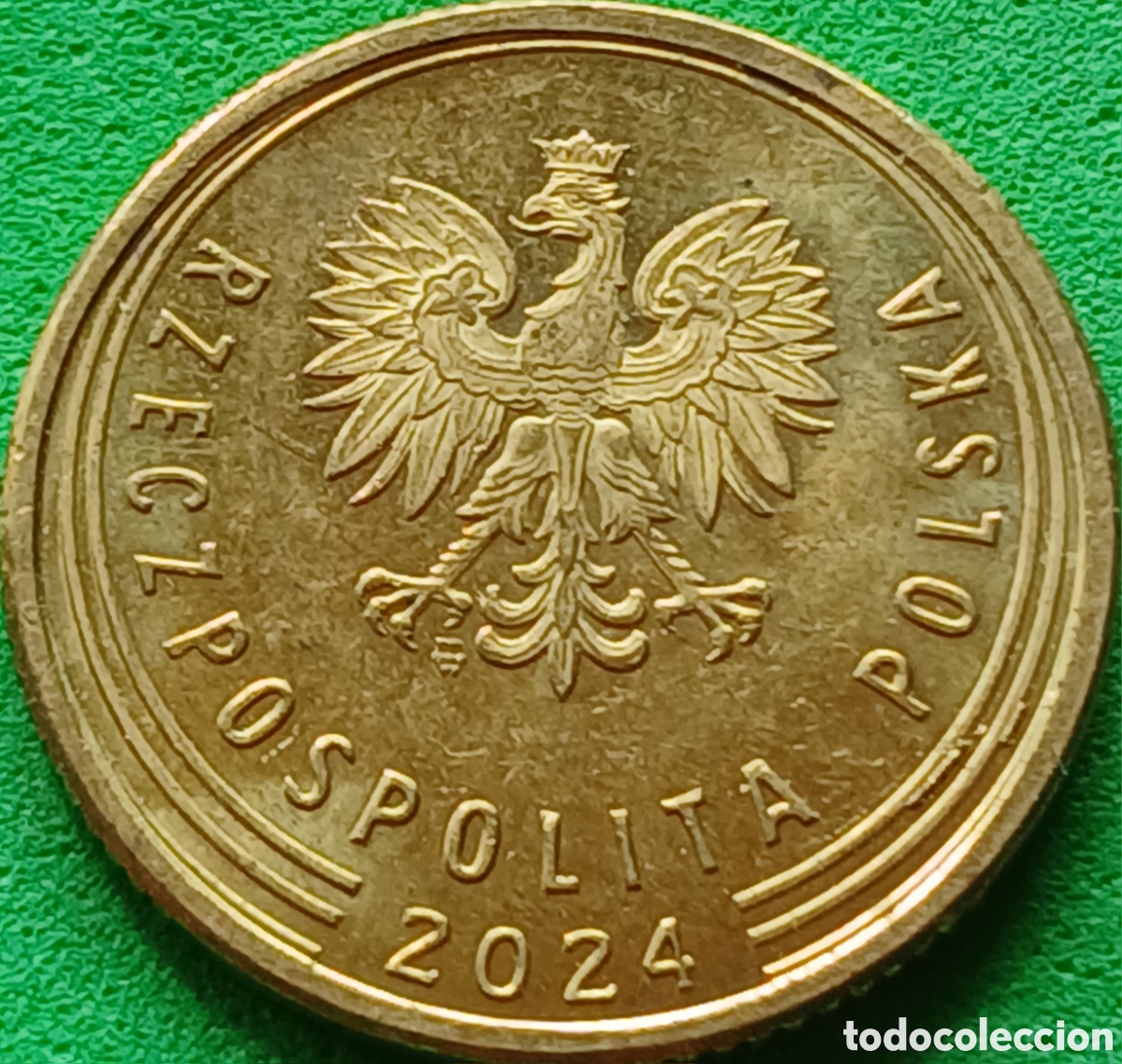 Monedas antiguas de Europa: Polonia 5 groszy 2024 UC#6