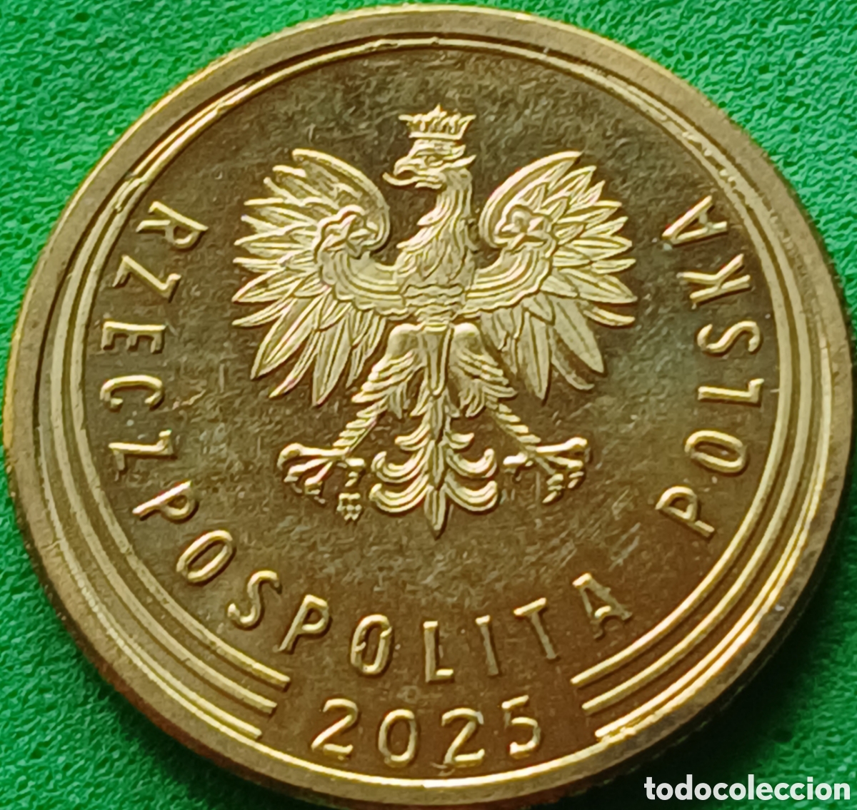 Monedas antiguas de Europa: Polonia 5 groszy 2025 UC#6 poco com&uacute;n