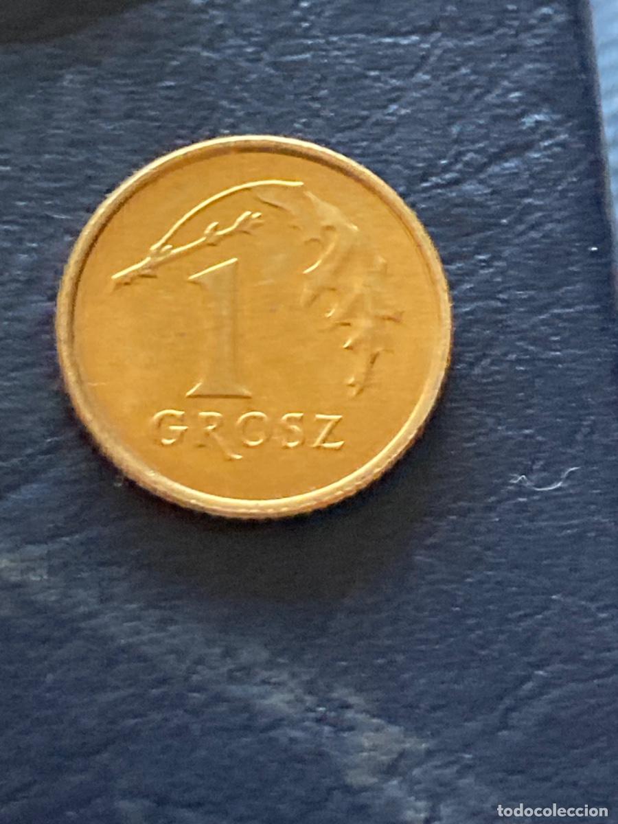 Monedas antiguas de Europa: M&uuml;nze M&uuml;nzen Umlaufm&uuml;nze Polen 1 Grosz 2007