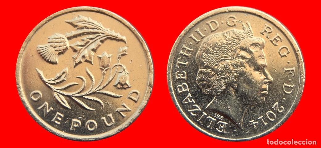Monedas antiguas de Europa: 1 LIBRA POUND 2014 INGLATERRA REINO UNIDO-150104