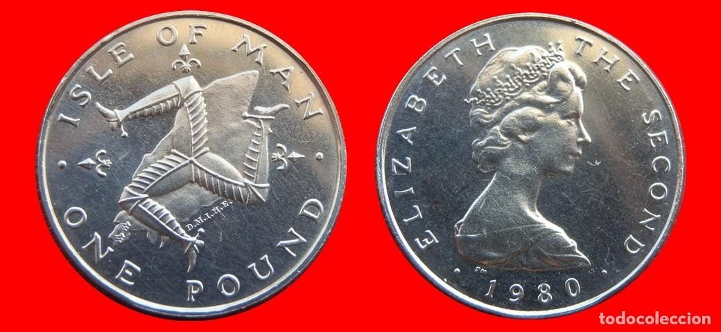 Monedas antiguas de Europa: 1 LIBRA POUND 1980 ISLA DE MAN-150108