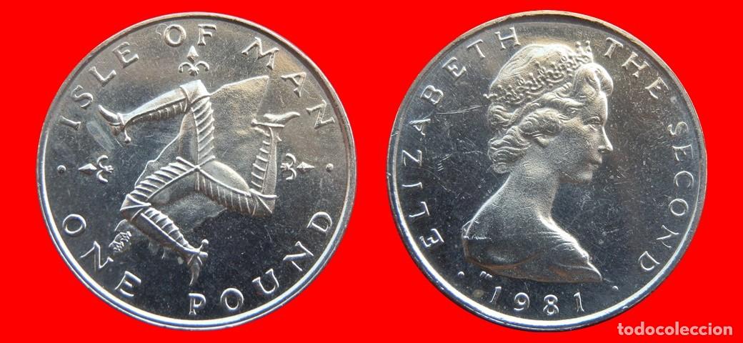 Monedas antiguas de Europa: 1 LIBRA POUND 1981 ISLA DE MAN-150109