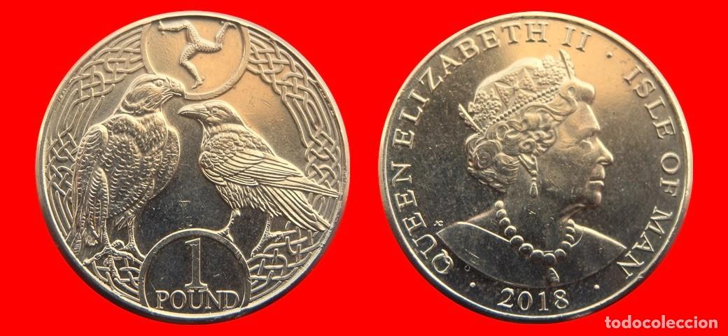 Monedas antiguas de Europa: 1 LIBRA POUND 2018 ISLA DE MAN-150119