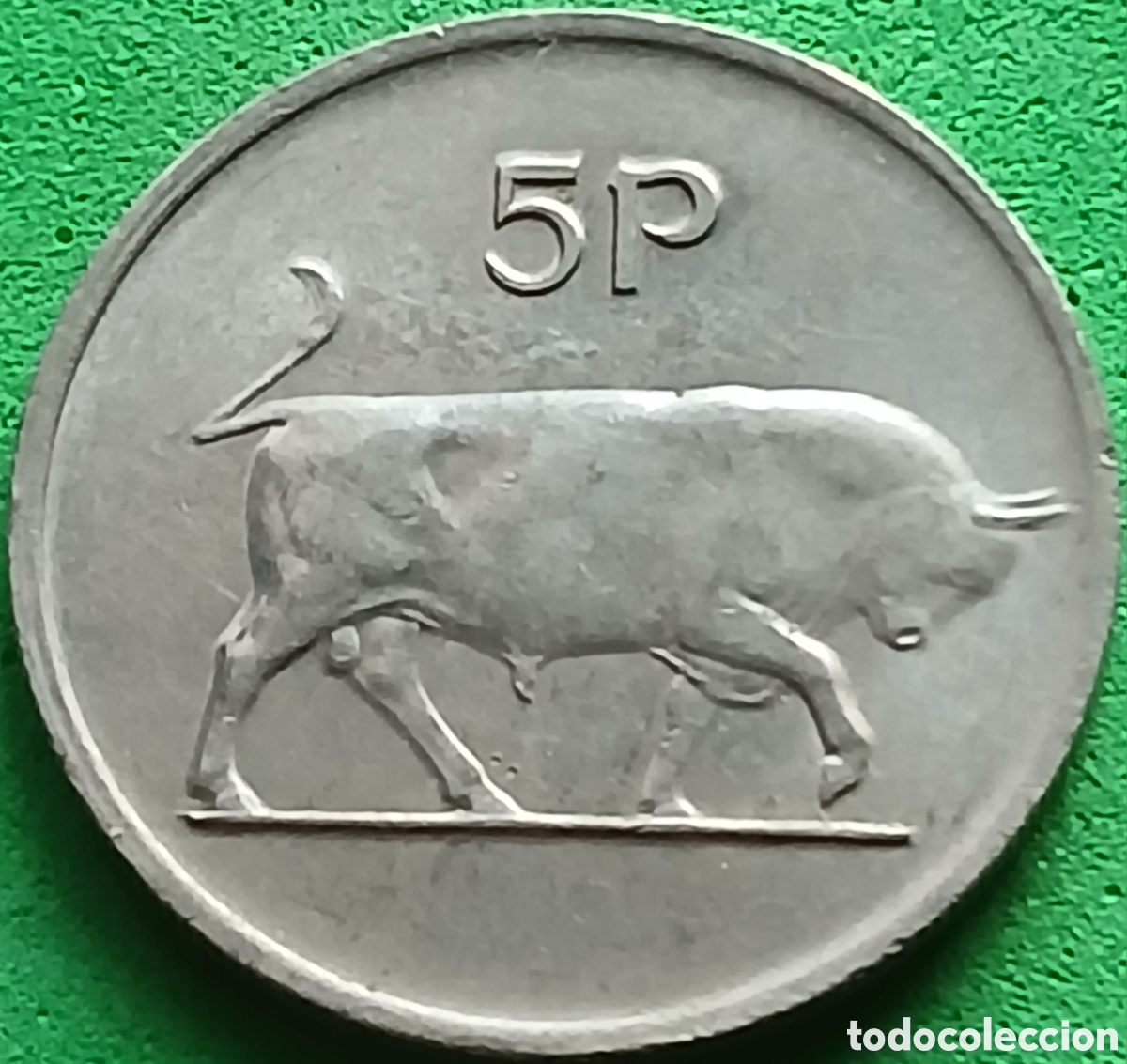 Monedas antiguas de Europa: Irlanda 5 peniques 1982 km#22