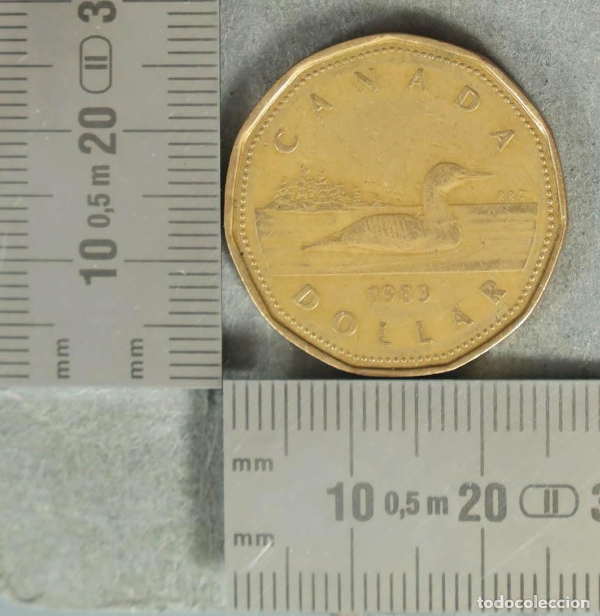 Old Coins of Europe: MONEDA. 1 Dollar - Canad&aacute; - Elizabeth II - Loonie - Canadian Loon 1989