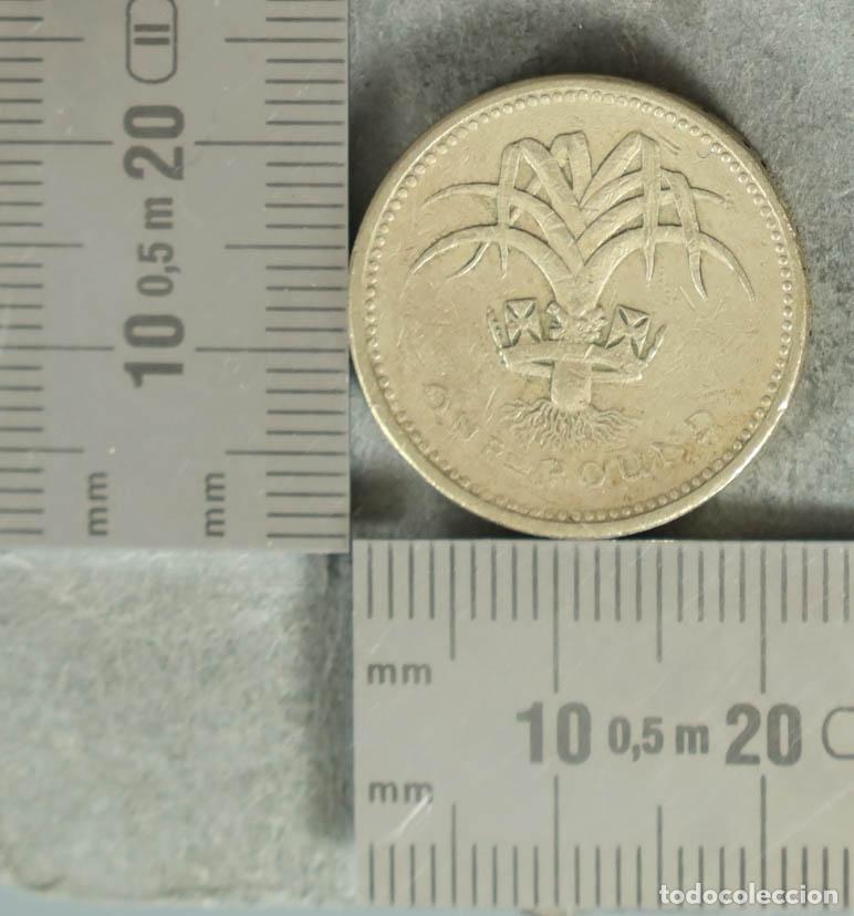 Monedas antiguas de Europa: MONEDA. 1 Pound - Reino Unido - Elizabeth II - Welsh Leek 1985