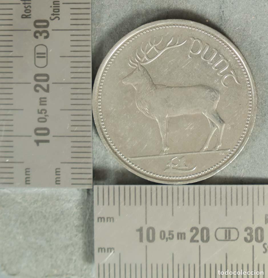 Alte M&uuml;nzen aus Europa: MONEDA. 1 Punt - Irlanda - Ciervo y Arpa 1995
