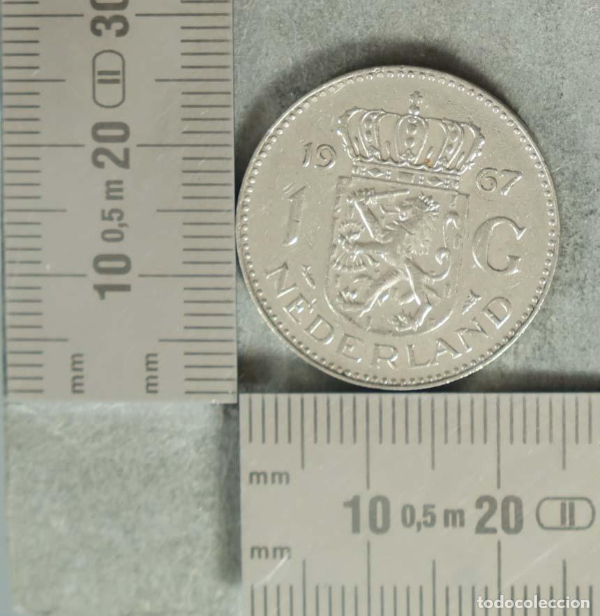 Monnaies anciennes de Europe: MONEDA. 1 Flor&iacute;n - Pa&iacute;ses Bajos - Juliana 1967