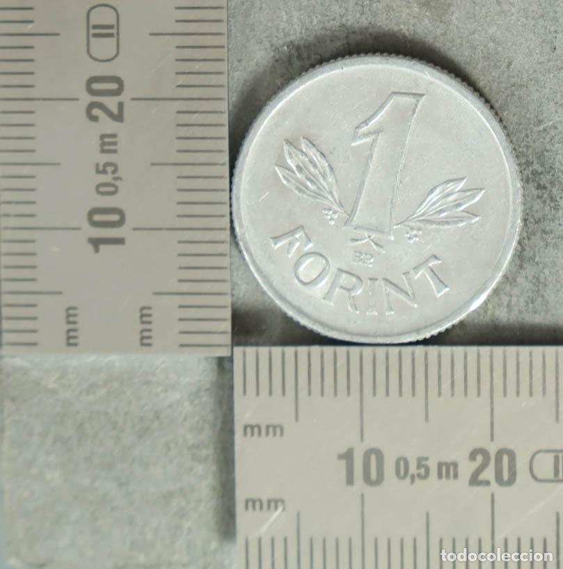 Monedas antiguas de Europa: MONEDA. 1 Forint - Hungr&iacute;a - Magyar N&eacute;pk&ouml;zt&aacute;rsas&aacute;g - BP. 1989