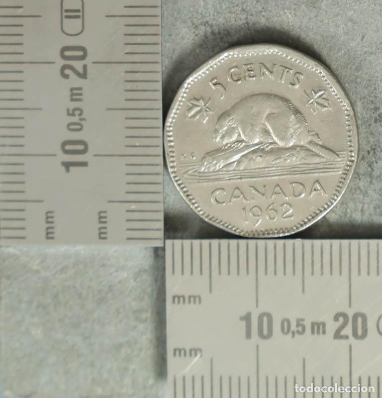 Monedas antiguas de Europa: MONEDA. 5 Cents - Canada - Castor - Elizabeth II 1962