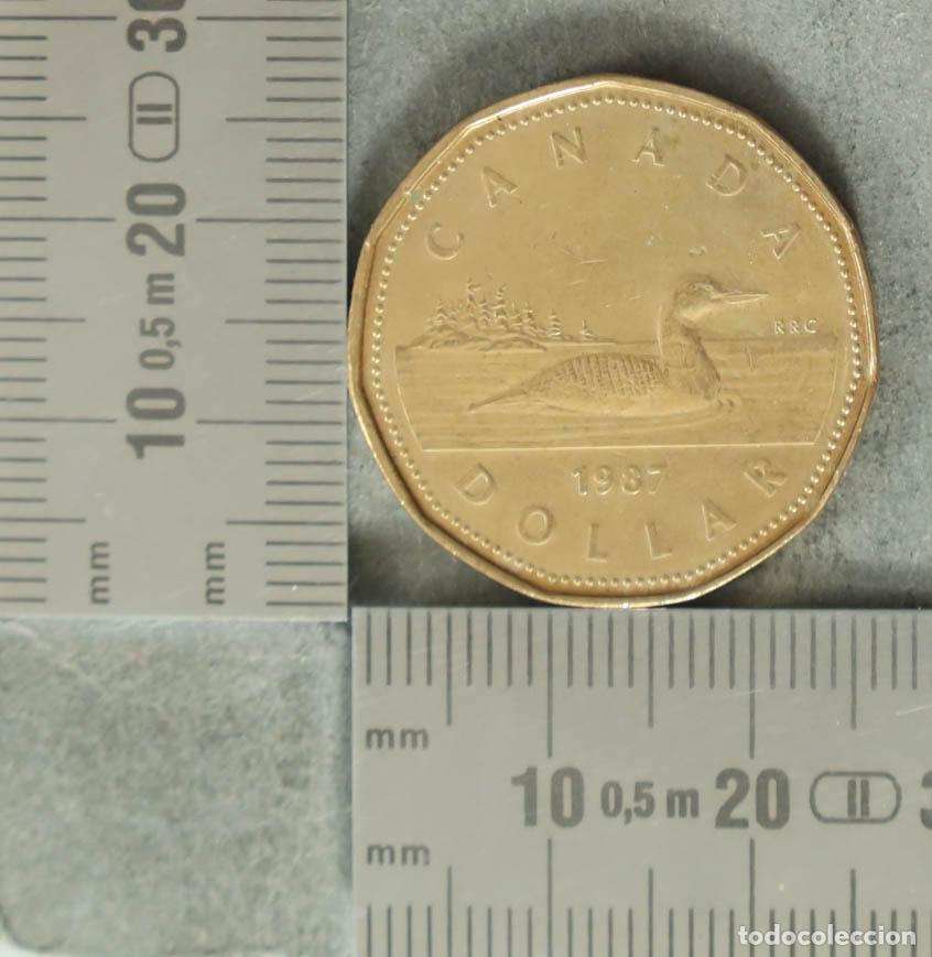 Alte M&uuml;nzen aus Europa: Moneda. 1 Dollar - Canad&aacute; - Elizabeth II - Loonie 1987