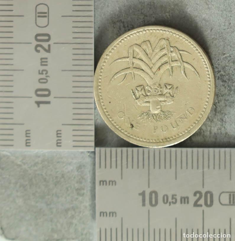 Monnaies anciennes de Europe: Moneda. 1 Pound - United Kingdom - Elizabeth II Welsh Leek 1985