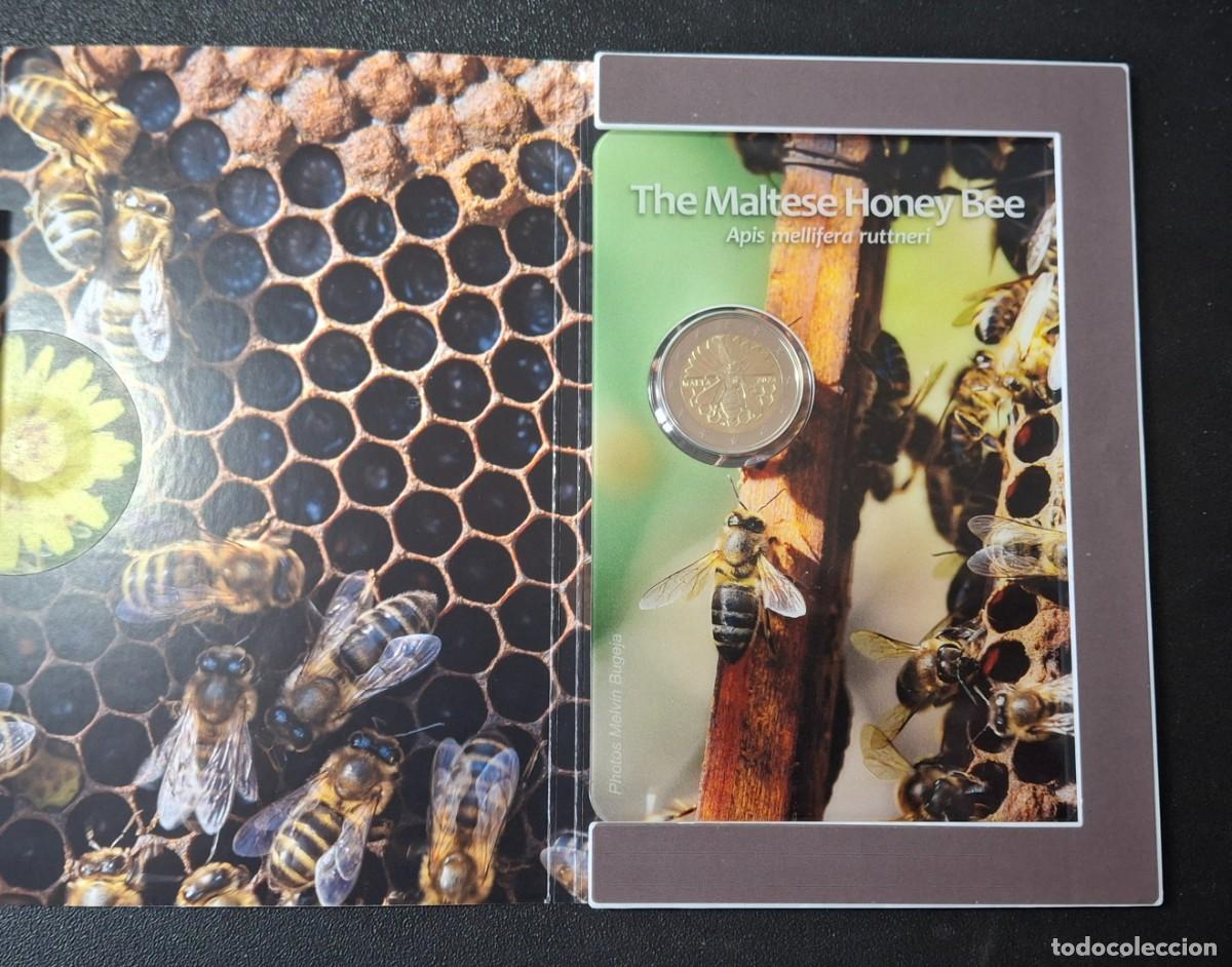 Monedas antiguas de Europa: Malta Cartera The Maltese Honey Bee 2024 (FDC)
