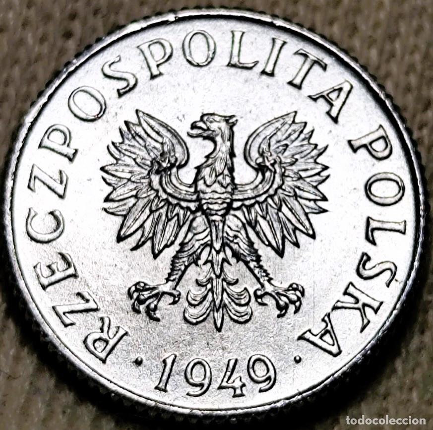 Monedas antiguas de Europa: Polonia 1 grosz 1949 Sin Circular Lote 2111