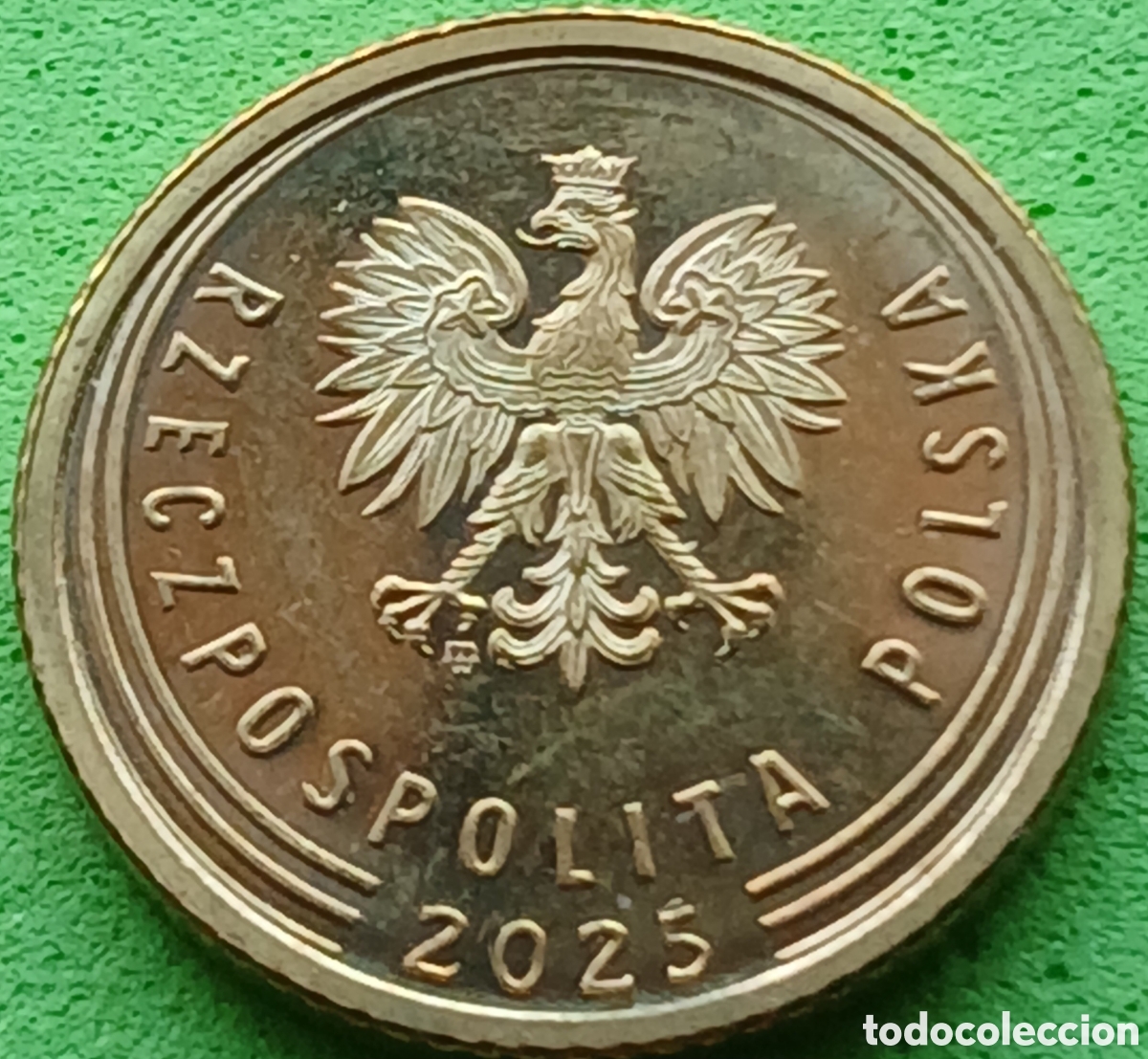 Monedas antiguas de Europa: Polonia 1 grosz 2025 UC#4