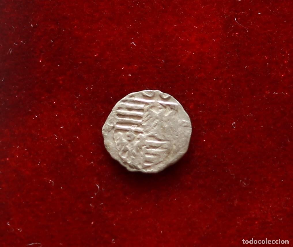 Monedas antiguas de Europa: PARVUS 1387-1427 HUNGRIA. SEGISMUNDO. CECA BAIA DE ARIES, RUMANIA