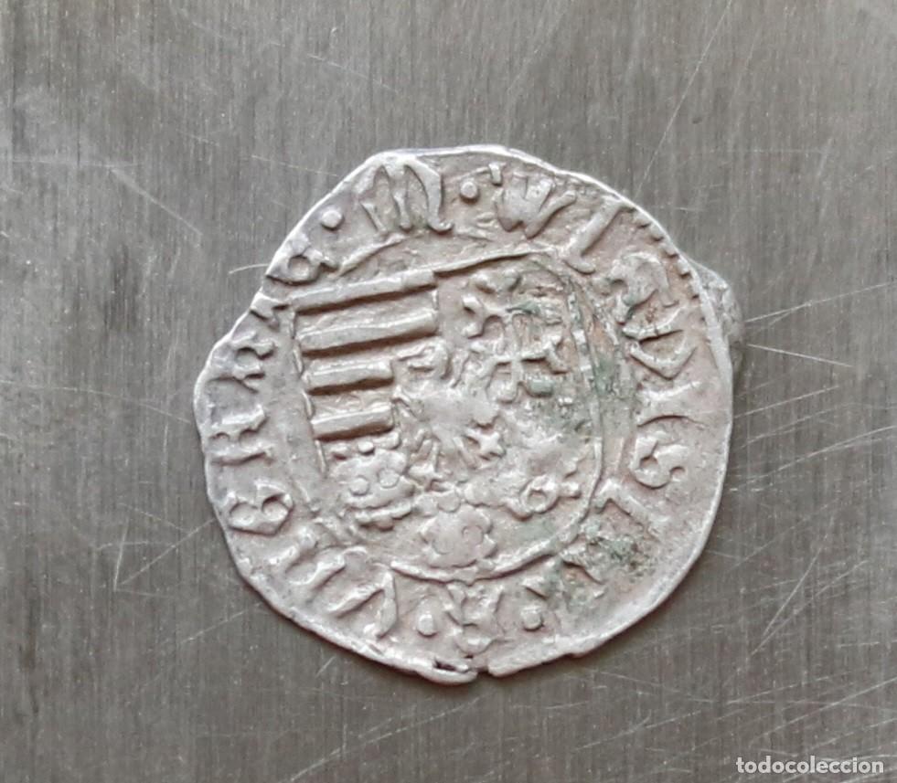 Monedas antiguas de Europa: DINERO 1498-1503 HUNGRIA. VLADISLAO II. CECA KREMNICA, ESLOVAQUIA