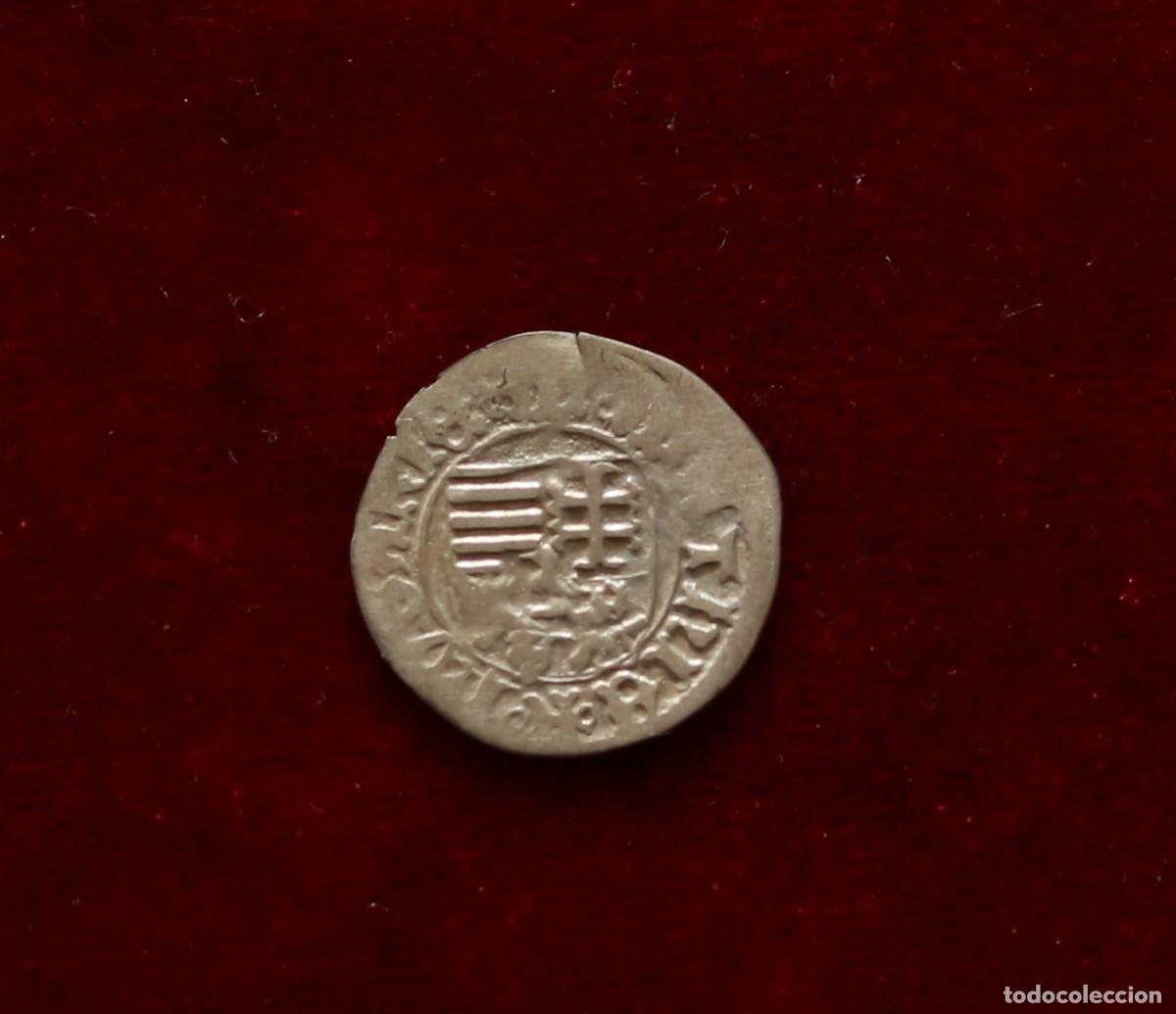 Monedas antiguas de Europa: DINERO 1468-1481 HUNGRIA. MATIAS I CORVINO. CECA SIBIU, RUMANIA