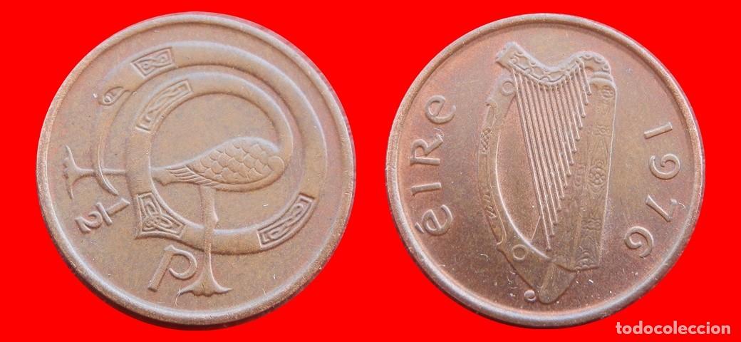 Monedas antiguas de Europa: 1/2 PENIQUE PENNY 1976 IRLANDA-150994