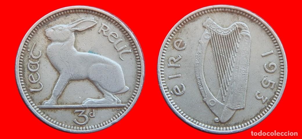 Monedas antiguas de Europa: 3 PENIQUES PENCE 1953 IRLANDA-150997