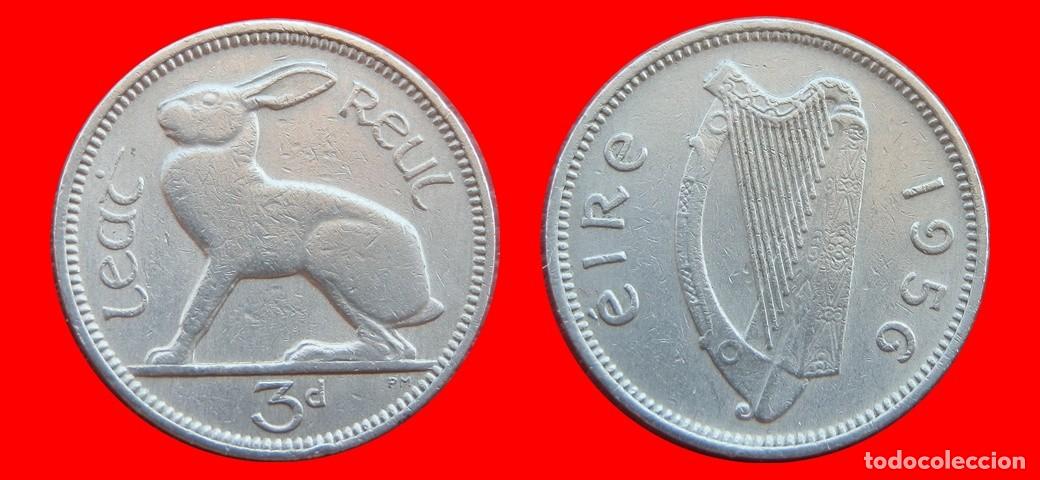 Monedas antiguas de Europa: 3 PENIQUES PENCE 1956 IRLANDA-150998