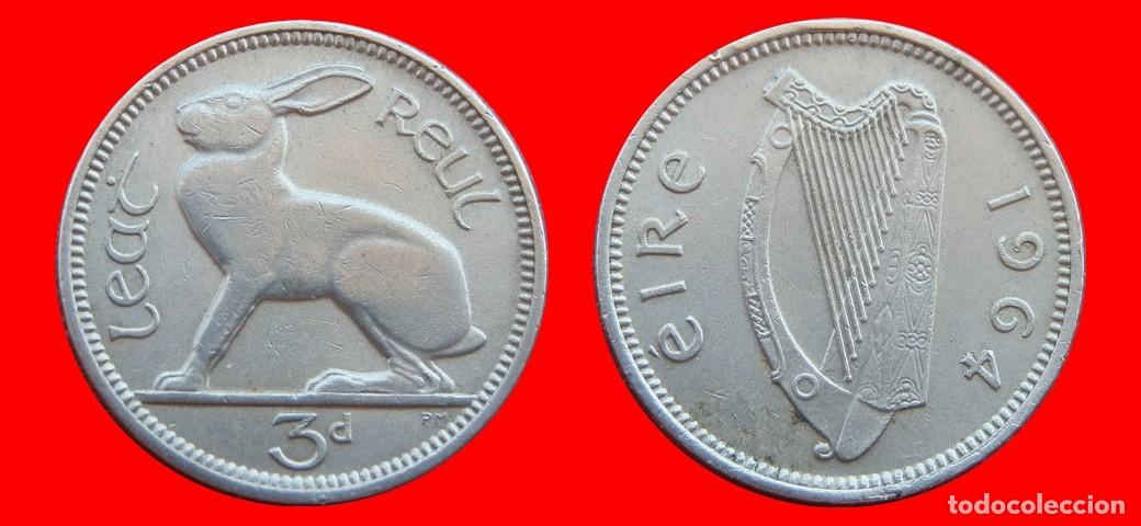 Monedas antiguas de Europa: 3 PENIQUES PENCE 1964 IRLANDA-150999