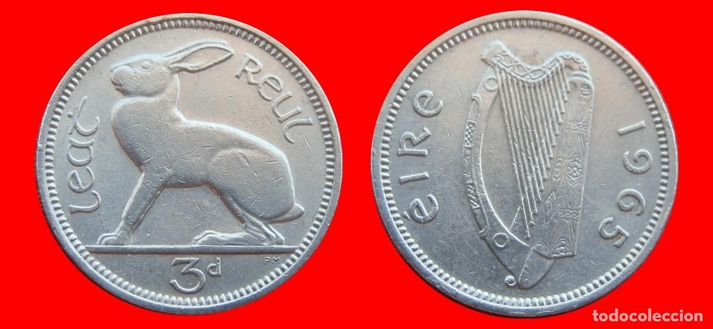 Monedas antiguas de Europa: 3 PENIQUES PENCE 1965 IRLANDA-151000