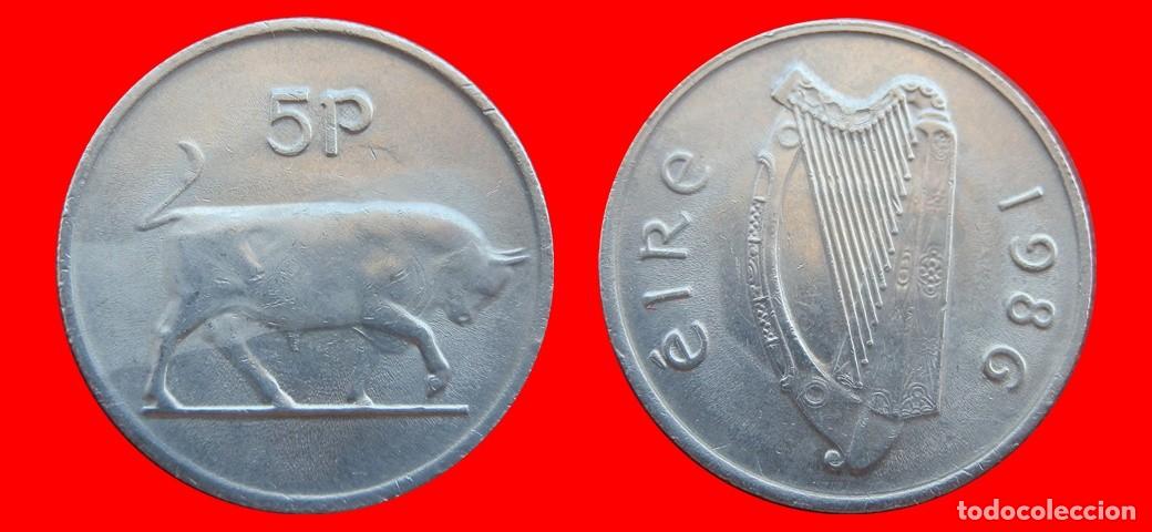 Monedas antiguas de Europa: 5 PENIQUES PENCE 1986 IRLANDA-151001