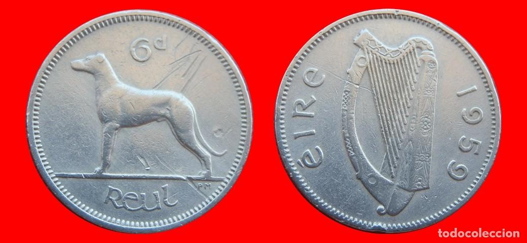 Monedas antiguas de Europa: 6 PENIQUES PENCE 1959 IRLANDA-151005
