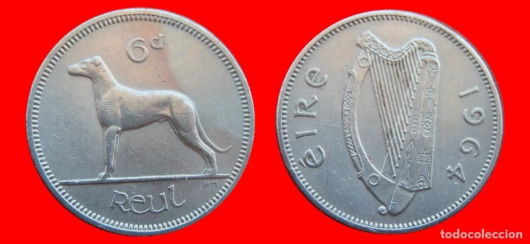 Monedas antiguas de Europa: 6 PENIQUES PENCE 1964 IRLANDA-151006