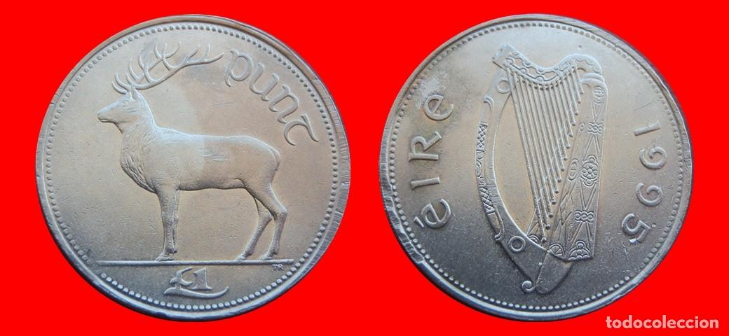 Monedas antiguas de Europa: 1 LIBRA POUND 1995 IRLANDA-151011