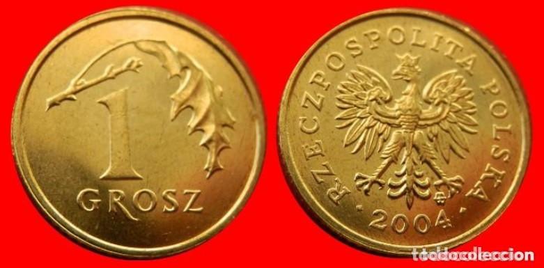 Monedas antiguas de Europa: Polonia &ndash; 1 Grosz 2004 &ndash; Sin Circular Lote 2273