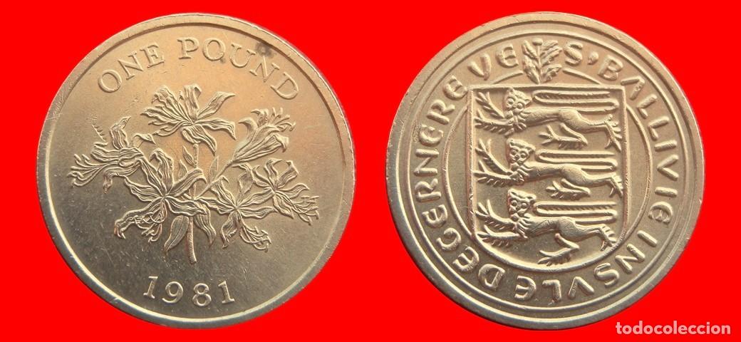 Monedas antiguas de Europa: 1 LIBRA POUND 1981 GUERNESEY-151344