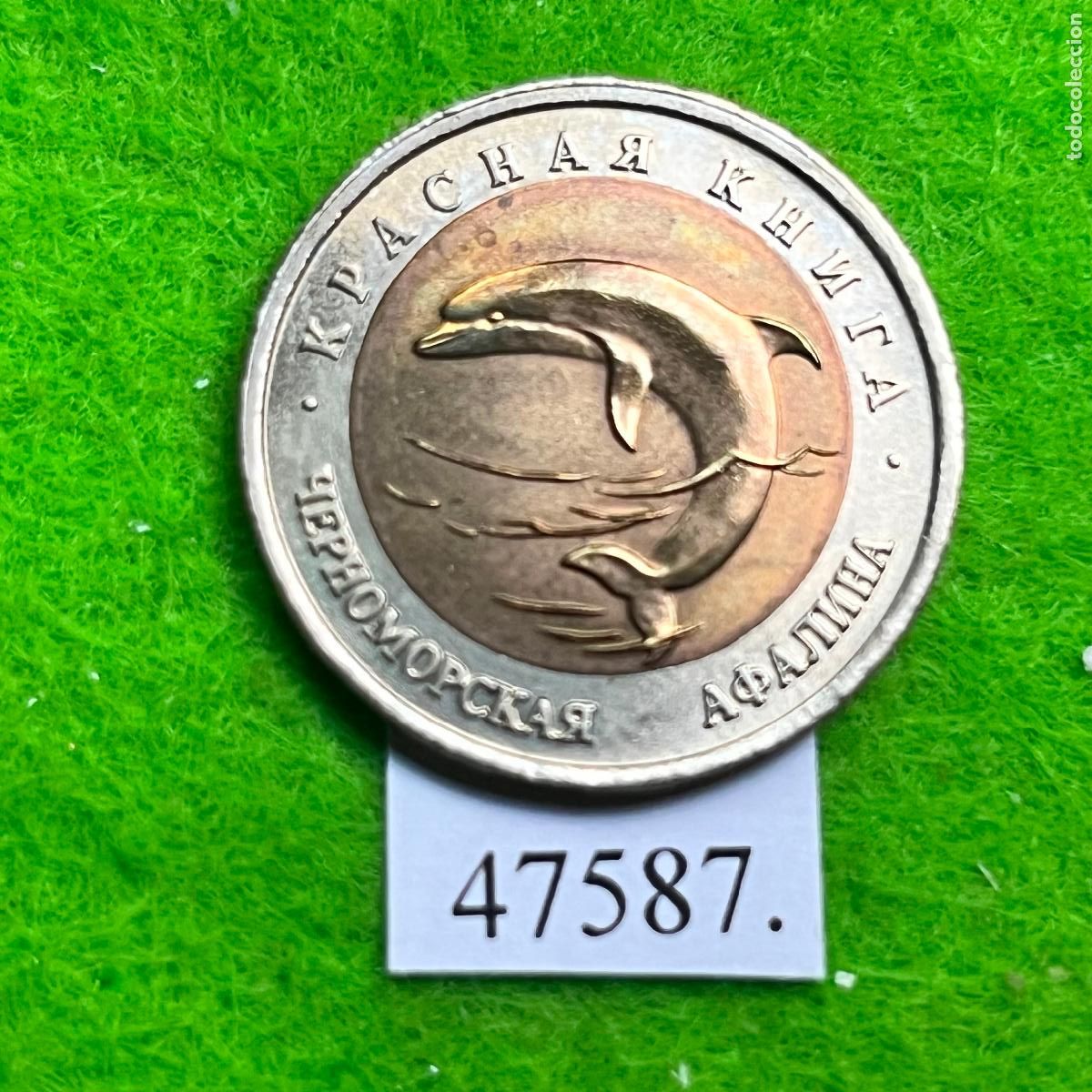 Monedas antiguas de Europa: Rusia 50 rublos 1993, delf&iacute;n nariz de botella del Mar Negro , bimet&aacute;lica