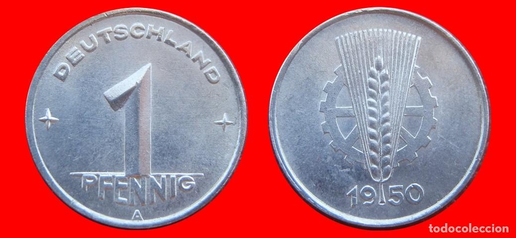 Monedas antiguas de Europa: 1 PFENNIG 1950A ALEMANIA REPUBLICA DEMOCRATICA DDR-151515