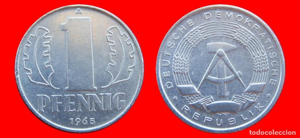 Monedas antiguas de Europa: 1 PFENNIG 1965A ALEMANIA REPUBLICA DEMOCRATICA DDR-151519