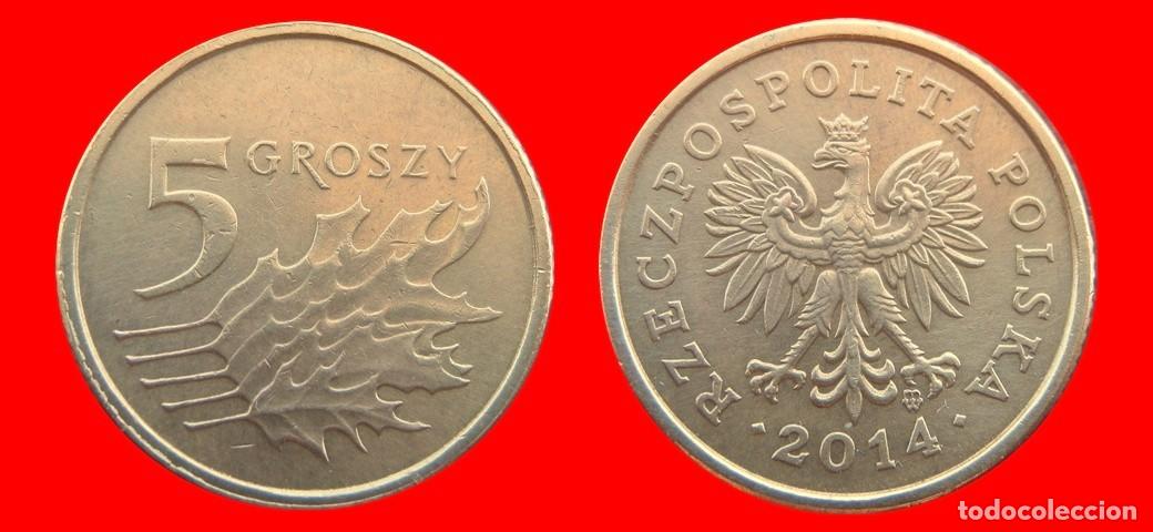 Monete antiche di Europa: 5 GROSZE 2014 POLONIA-151767