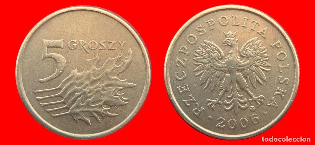 Monete antiche di Europa: 5 GROSZE 2006 POLONIA-151768