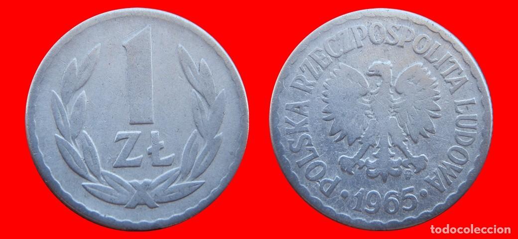 Monedas antiguas de Europa: 1 ZLOTY 1965 POLONIA-151777