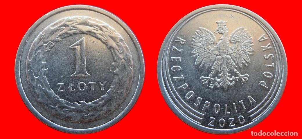 Monedas antiguas de Europa: 1 ZLOTY 2020 POLONIA-151779