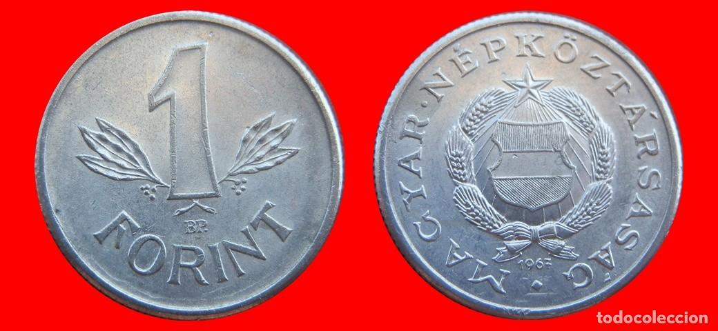 Monedas antiguas de Europa: 1 FLORIN FORINT 1967 HUNGRIA-151818