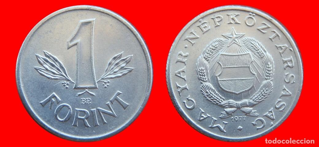 Monedas antiguas de Europa: 1 FLORIN FORINT 1977 HUNGRIA-151820