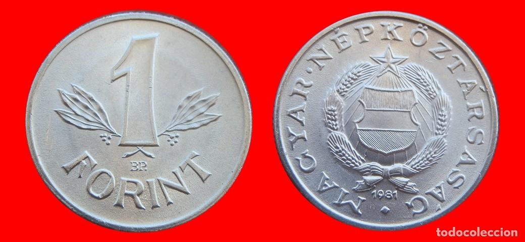 Monedas antiguas de Europa: 1 FLORIN FORINT 1981 HUNGRIA-151821