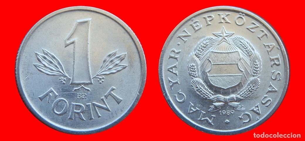 Monedas antiguas de Europa: 1 FLORIN FORINT 1989 HUNGRIA-151822
