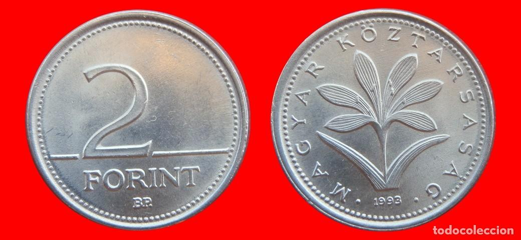 Monedas antiguas de Europa: 2 FLORINES FORINT 1993 HUNGRIA-151825