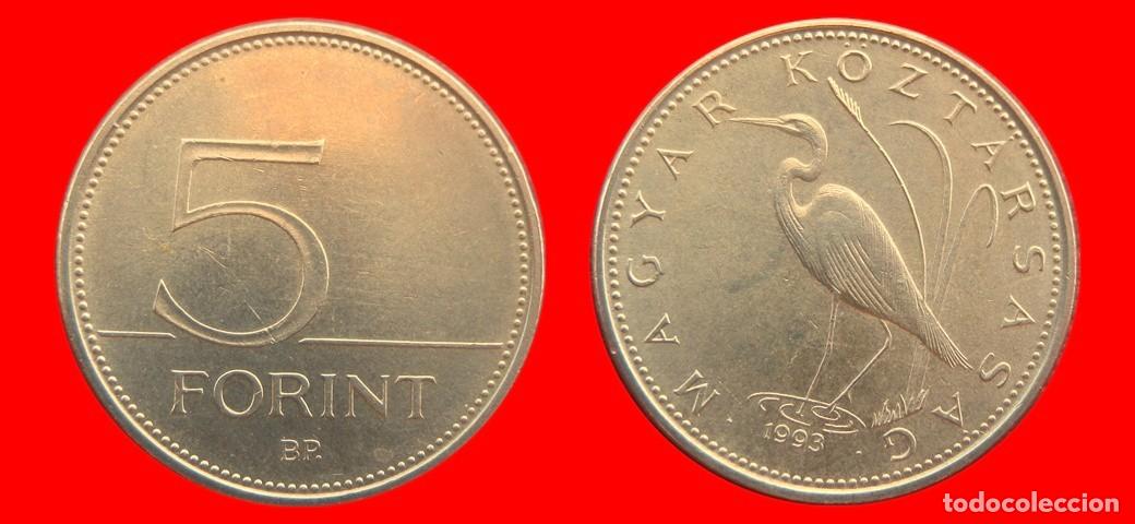 Monedas antiguas de Europa: 5 FLORINES FORINT 1993 HUNGRIA-151828